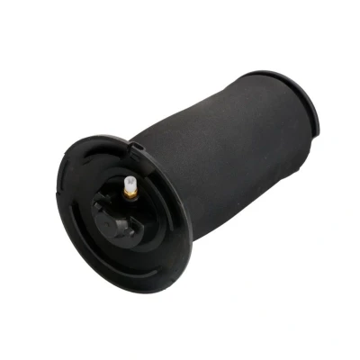 Abbildung von Magnum Technology MZB015MT Luftfeder, Fahrwerk Hinterachse BMW: 5 Touring