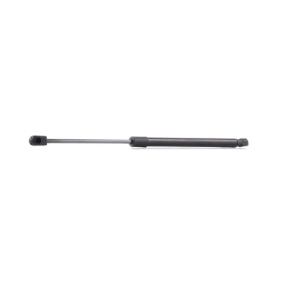 Abbildung von RIDEX 219G0107 Heckklappendämpfer 330 473 beidseitig, hinten FIAT: Punto II Schrägheck, Grande Schrägheck