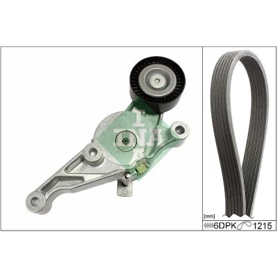 Abbildung von INA 529 0462 10 Keilrippenriemensatz Generatorfreilauf prüfen und ggf. erneuern VOLKSWAGEN: Caddy 3 Kombi, Kastenwagen, SEAT: Alhambra I