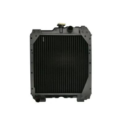 Abbildung von THERMOTEC D7AG061TT Kühler, Motorkühlung 445 450 59
