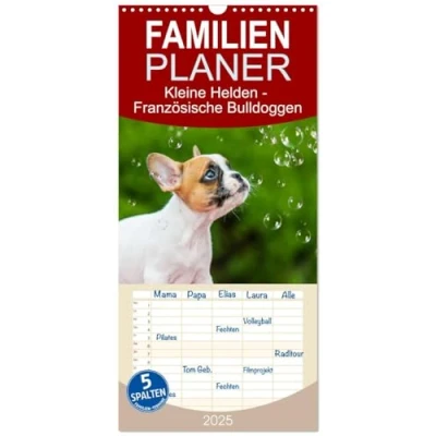 Abbildung von Familienplaner 2025 Kleine Helden Französische Bulldoggen mit 5 Spalten (Wandkalender, 21 cm x 45 cm), CALVENDO