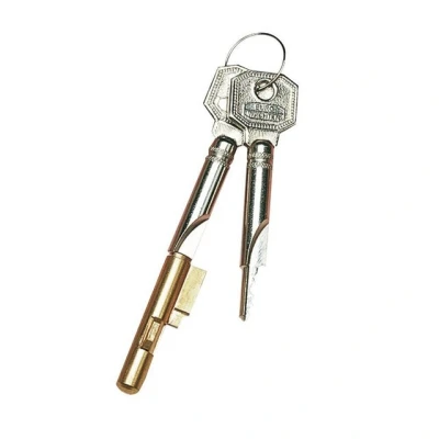 Abbildung von Burg Wächter Türriegel Schlüssellochsperrer 7 mm