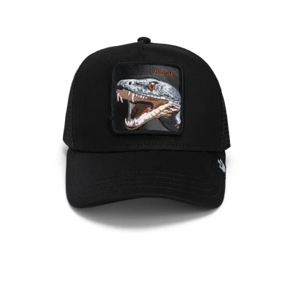 Abbildung von Goorin Bros HE Vicious Snake Cap, Herren, Größe: One Size, Ebony