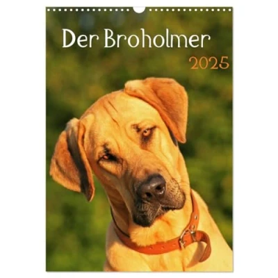 Abbildung von Der Broholmer (Wandkalender 2025 DIN A3 hoch), CALVENDO Monatskalender
