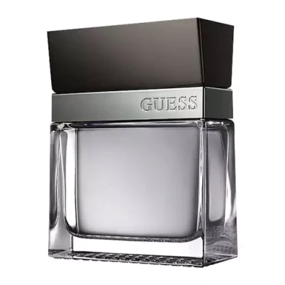Abbildung von Guess Seductive Homme Eau de Toilette 100 ml