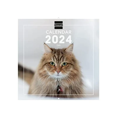 Abbildung von Finocam Calendar 2024 International Wall Images January December (12 Months) Cats