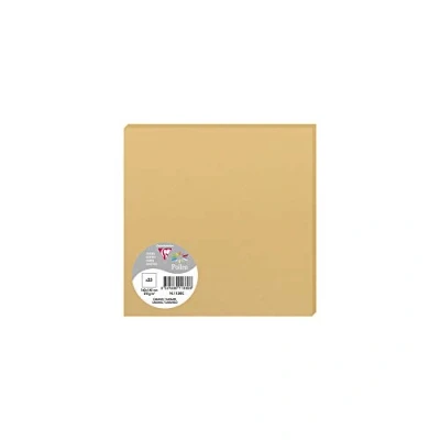 Abbildung von Clairefontaine 1138C Packung (mit 25 Karten Pollen 160 x 160mm) 210g, Karamel