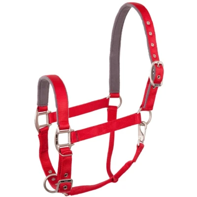 Abbildung von BR Halter Event Cob Florid Red Rot