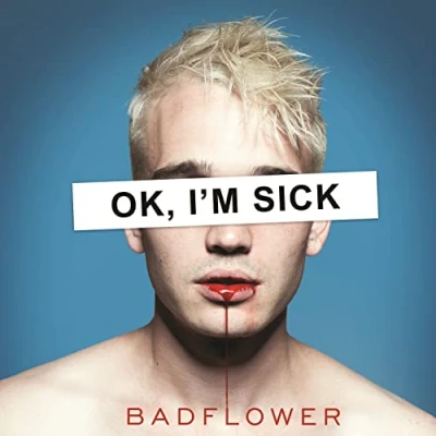 Abbildung von Ok,I&#039;M Sick (2lp) [Vinyl LP]
