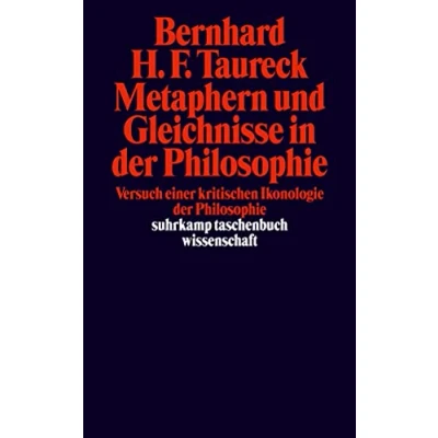Abbildung von Metaphern und Gleichnissse in der Philosopie: Versuch einer kritischen Ikonologie Philosophie (suhrkamp taschenbuch wissenschaft)