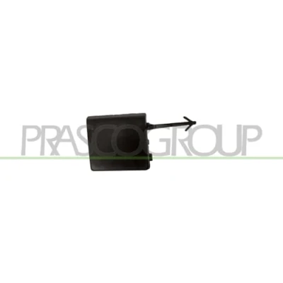 Abbildung von PRASCO RN6501236 Klappe, Abschlepphaken vorne RENAULT: SCENIC 3