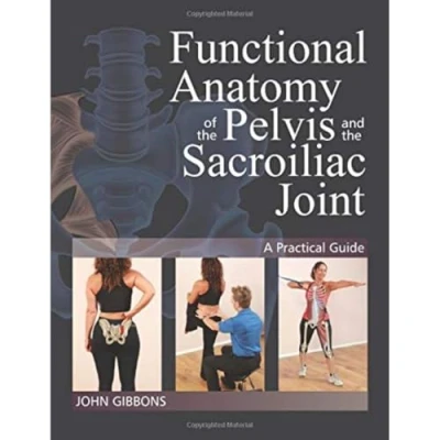 Abbildung von Functional Anatomy of the Pelvis and Sacroiliac Joint: A Practical Guide