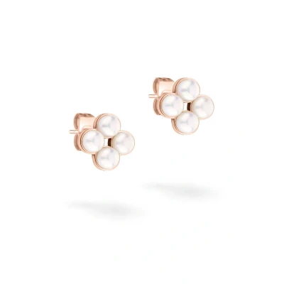 Abbildung von Tamaris Ohrstecker TJ 0519 E 08 IP Roségold