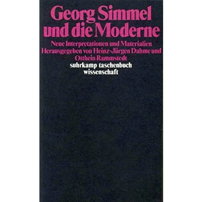 Abbildung von Georg Simmel und die Moderne: Neue Interpretationen Materialien (suhrkamp taschenbuch wissenschaft)