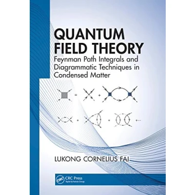 Abbildung von Quantum Field Theory: Feynman Path Integrals and Diagrammatic Techniques in Condensed Matter