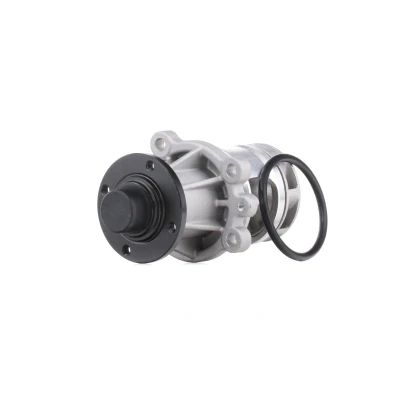 Abbildung von MAGNETI MARELLI 352316170043 Wasserpumpe BMW: 3 Limousine, 5 Cabrio