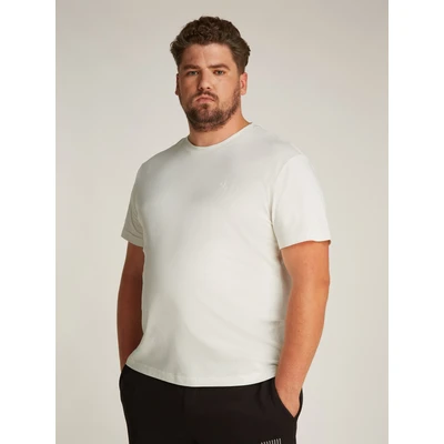 Abbildung von Calvin Klein Jeans PLUS Textured Monologo TEE Tshirt print, Herren, Größe: 4XL, Ivory