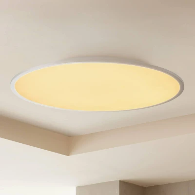 Abbildung von Lindby Narima LED Deckenleuchte CCT Ø80 White/Silver