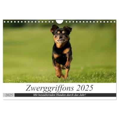 Abbildung von Zwerggriffons 2025 (Wandkalender DIN A4 quer), CALVENDO Monatskalender