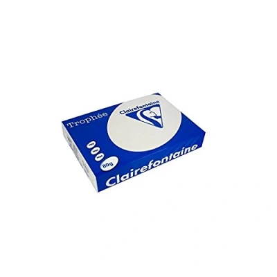 Abbildung von Clairefontaine Lichtgrijs A4 80 grams (500 vel) Farbiges Papier