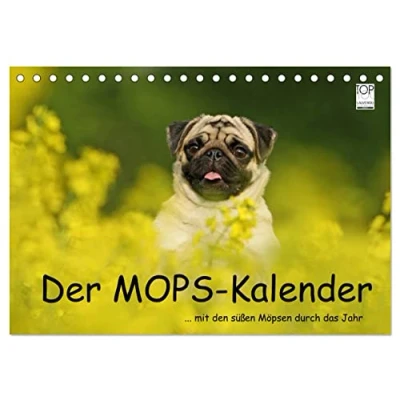 Abbildung von Der MOPS Kalender (Tischkalender 2025 DIN A5 quer), CALVENDO Monatskalender