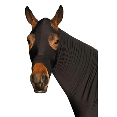 Abbildung von HKM Sleezy Schwarz XWarmblut