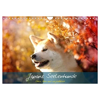 Abbildung von Japans Seelenhunde (Wandkalender 2025 DIN A4 quer), CALVENDO Monatskalender
