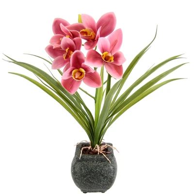 Abbildung von my home Kunstblume &quot;Orchidee&quot;, Mit Blätter im Topf aus Zement Künstliche Blume Cymbidium Orchidee