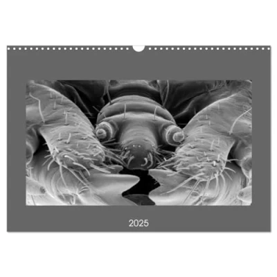 Abbildung von Erlebnis Mikrokosmos (Wandkalender 2025 DIN A3 quer), CALVENDO Monatskalender