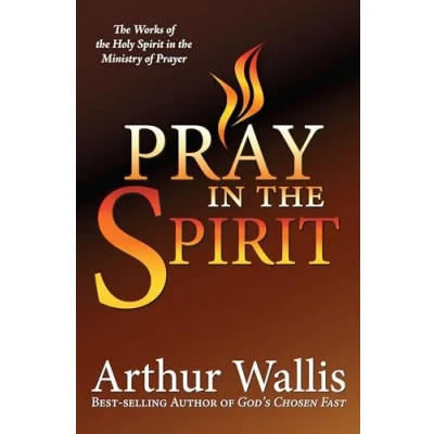Abbildung von PRAY in the SPIRIT: Work of Holy Spirit Ministry Prayer