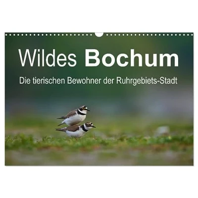 Abbildung von Wildes Bochum (Wandkalender 2025 DIN A3 quer), CALVENDO Monatskalender