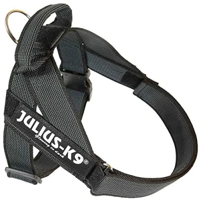 Abbildung von Julius K9, Color &amp; Gray, Beltgeschirr