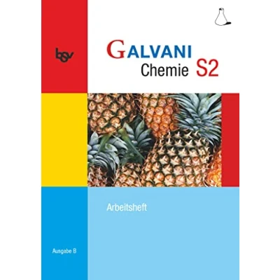 Abbildung von Galvani Chemie Für Gymnasien Ausgabe B sprachliche, musische, wirtschafts und sozialwissenschaftliche in Bayern Bisherige Band S2: 10. Jahrgangsstufe: Arbeitsheft
