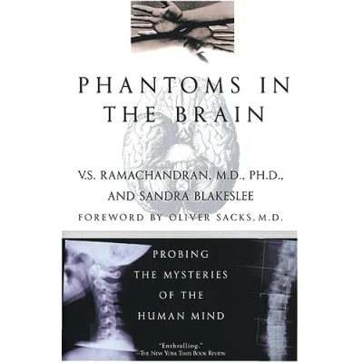 Abbildung von Phantoms in the Brain: Probing Mysteries of Human Mind