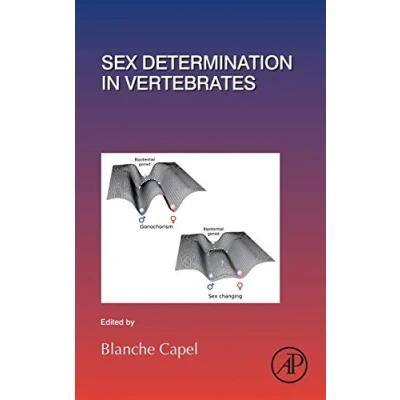 Abbildung von Sex Determination in Vertebrates (Volume 134) (Current Topics Developmental Biology, Volume 134, Band