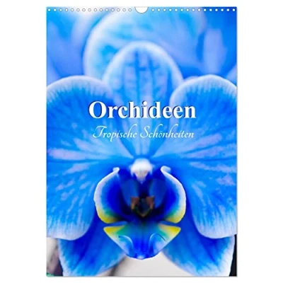 Abbildung von Orchideen Tropische Schönheiten (Wandkalender 2025 DIN A3 hoch), CALVENDO Monatskalender