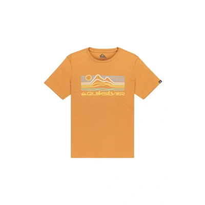 Abbildung von Quiksilver T Shirt, kurzärmlig, EV Light Waves SS, Braun, 16