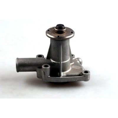 Abbildung von HEPU P1024 Wasserpumpe mit Dichtung mechanisch ROVER: Mini moke Cabrio, Hatchback