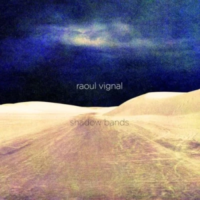 Abbildung von Shadow Bands [Vinyl LP]