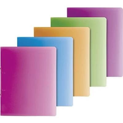 Abbildung von 10 x Brunnen Ringbuch Fact! A4 25mm 2 Ringe farbig sortiert