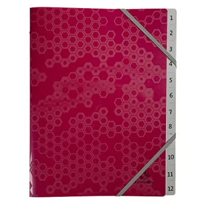 Abbildung von Exacompta 58310E Ordnungsmappe Maïa aus recyceltem Kunststoff 12 Fächer 2 Gummizügen für DIN A4, 1 Stück Zufallsfarbe