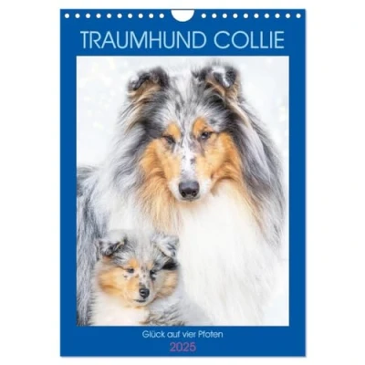 Abbildung von Traumhund Collie Glück auf vier Pfoten (Wandkalender 2025 DIN A4 hoch), CALVENDO Monatskalender