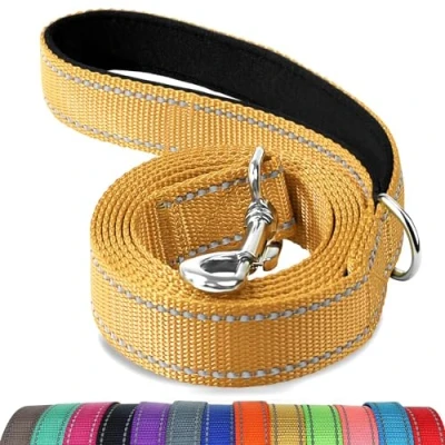 Abbildung von Joytale Hundeleine Kleine Hunde Leicht, Doppelseitig Reflektierende Leine Hund aus Nylon mit Gepolstertem Griff, 1,8m x 2cm, Braun