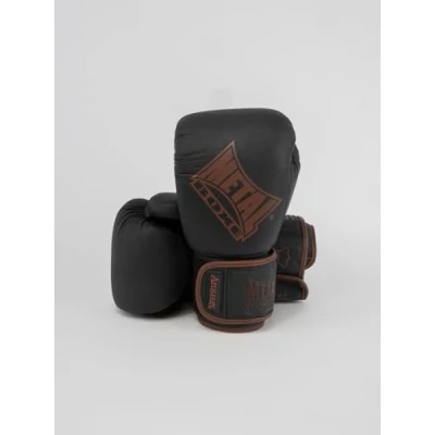 Abbildung von Leder Boxhandschuhe Metal Boxe apollon