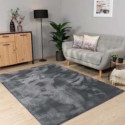 Abbildung von Paco Home Teppich Wohnzimmer Schlafzimmer Kurzflor Waschbar Einfarbiges Muster Flauschig Weich rutschfest Moderne Deko, Grösse:200x280 cm, Farbe:Anthrazit