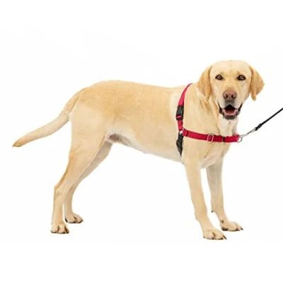 Abbildung von PetSafe Easy Walk Geschirr, Anti Zieh Hundegeschirr, Verringert Würgen und Husten, Mit 1,8 M Leine, Größe XL, Rot