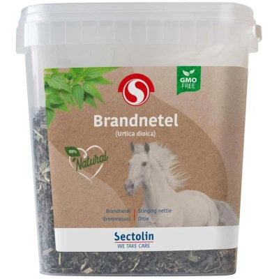 Abbildung von Sectolin Brandnetel