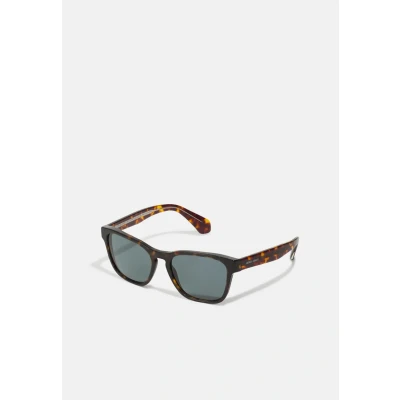 Abbildung von Giorgio Armani AR8155 5879/R5 55 Sonnenbrille