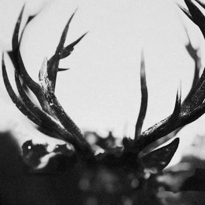 Abbildung von Ihsahn (Ltd. Black Yolk Col. 2lp) [Vinyl LP]