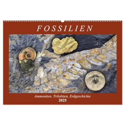 Abbildung von Fossilien Ammoniten, Trilobiten, Erdgeschichte (Wandkalender 2025 DIN A2 quer), CALVENDO Monatskalender